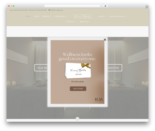 WordPress theme Divi - kuabody.me