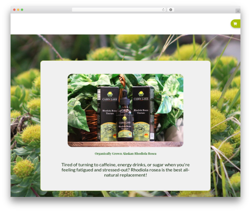WordPress theme Hello Elementor - cabinlakefarmsalaska.com