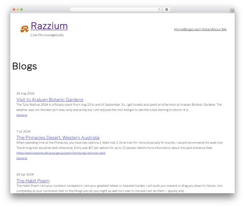 WordPress theme Spearhead - razzium.com