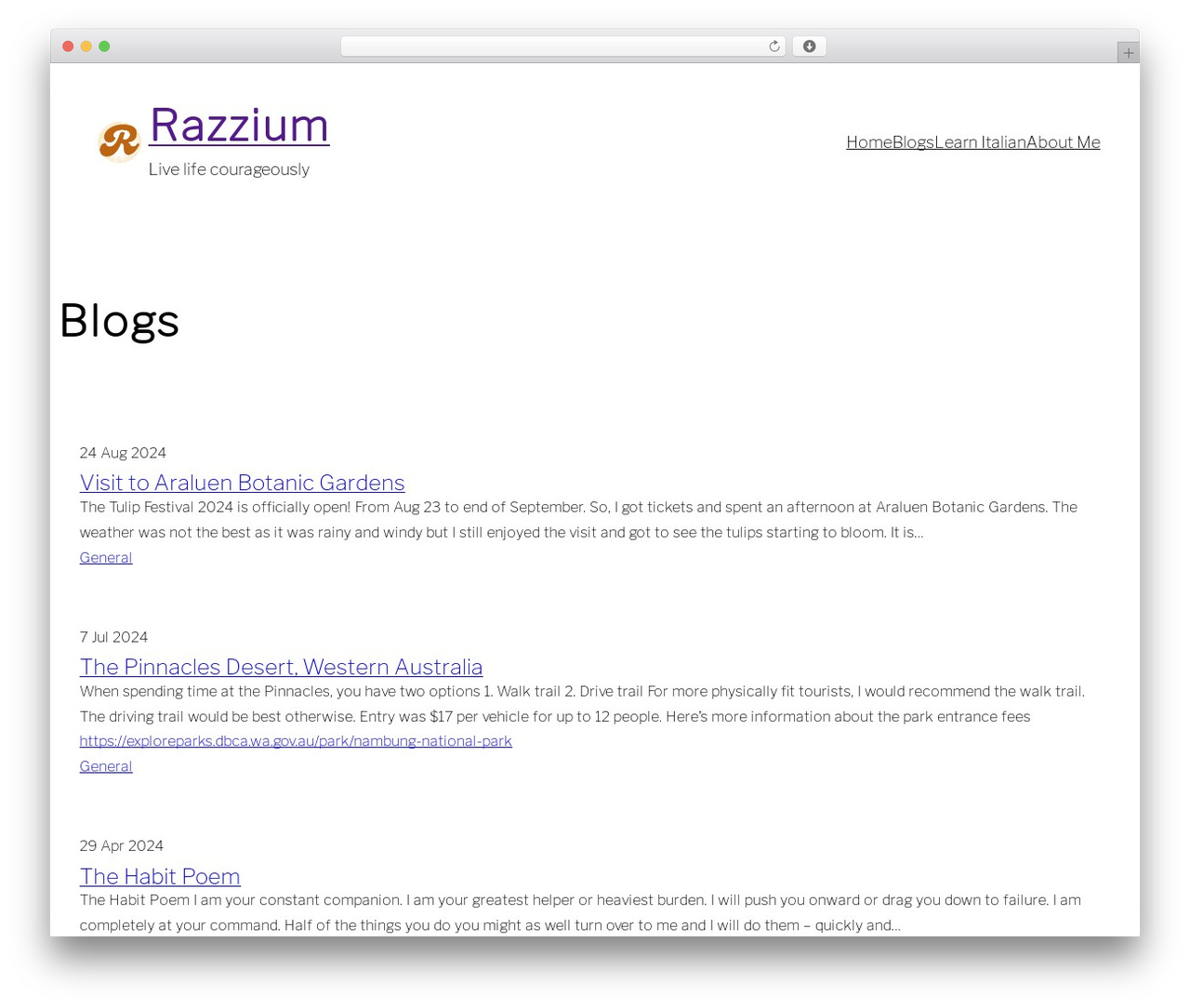 WordPress theme Spearhead - razzium.com