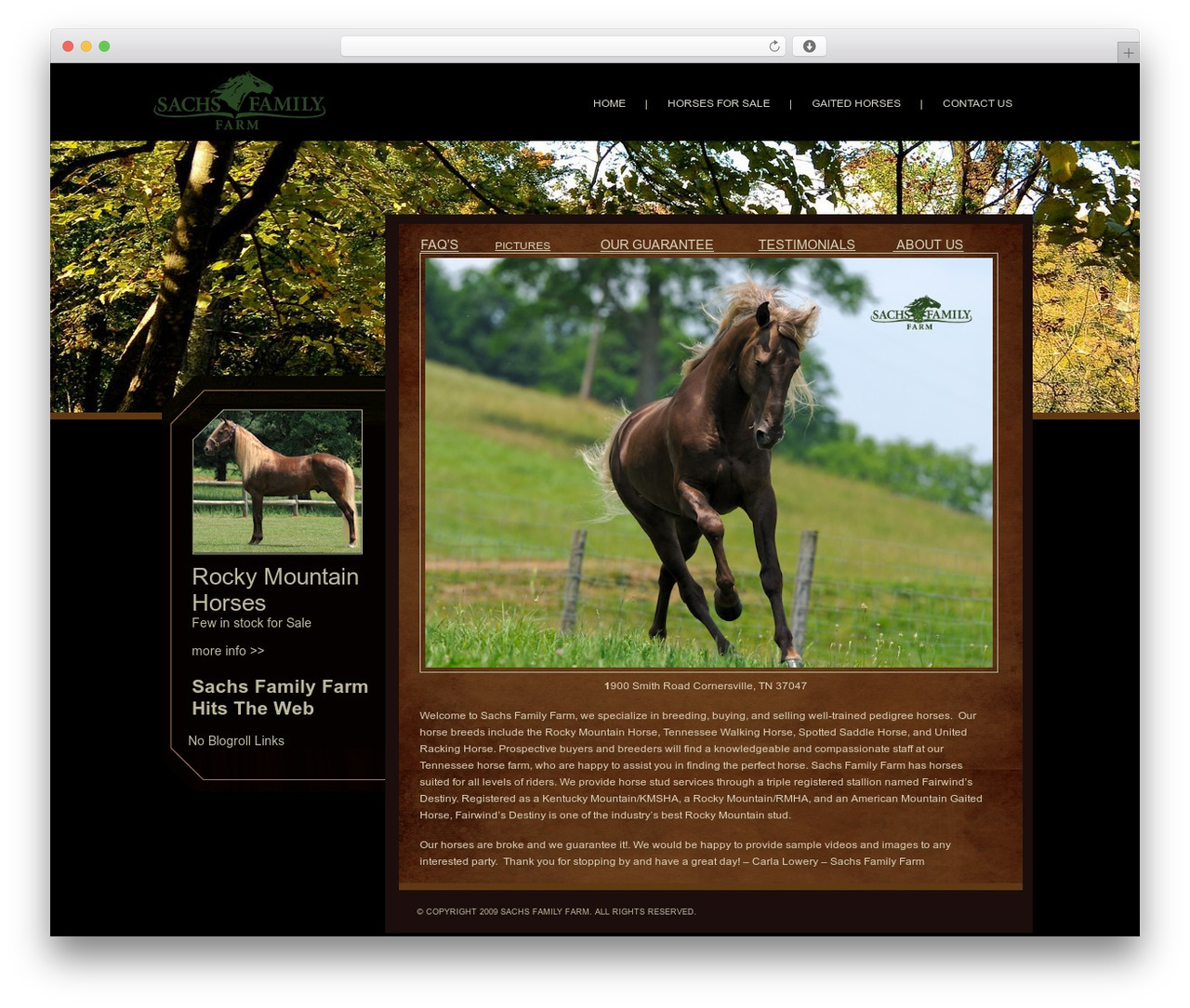 WordPress theme StarLane - sachsfamilyfarm.com WordPress theme StarLane - sachsfamilyfarm.com