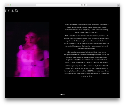 WordPress website theme Kyte - kylomusic.com