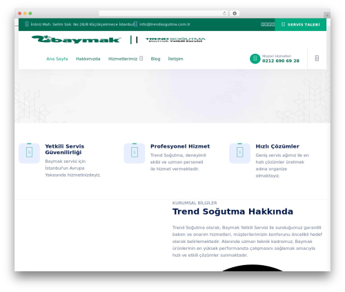 YesilNetwork top WordPress theme - trendsogutma.com.tr