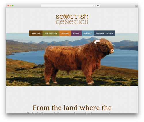 Colored Theme WordPress website theme - scottishgenetics.com