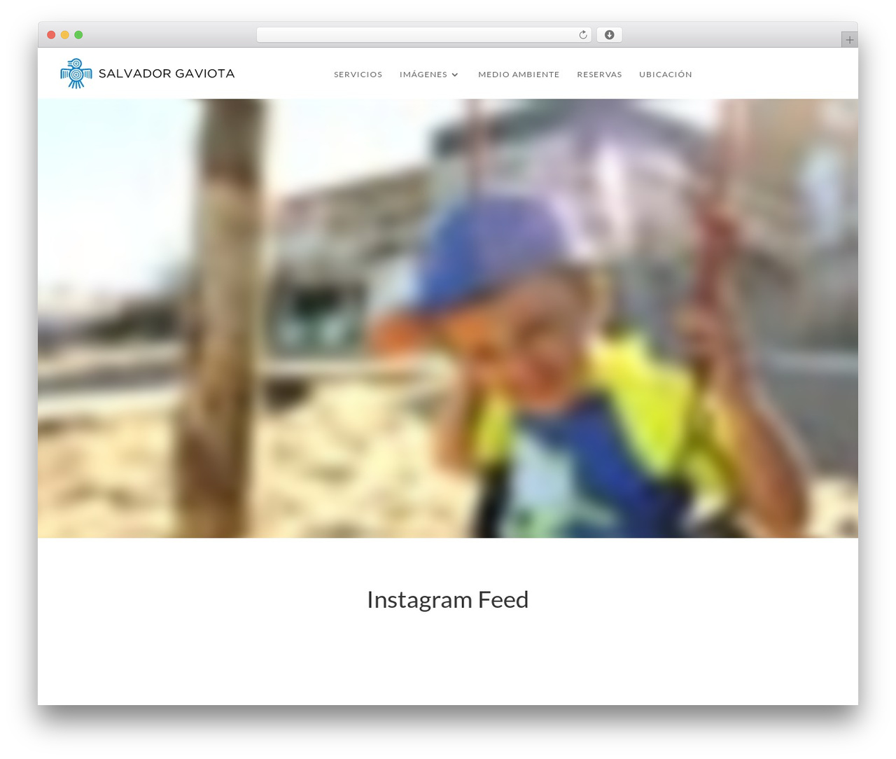 Divi WordPress theme - salvadorgaviota.com Divi WordPress theme - salvadorgaviota.com