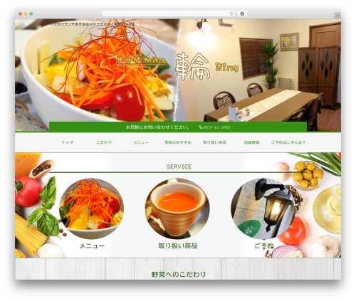 frc23 WordPress theme - salad-ring.com