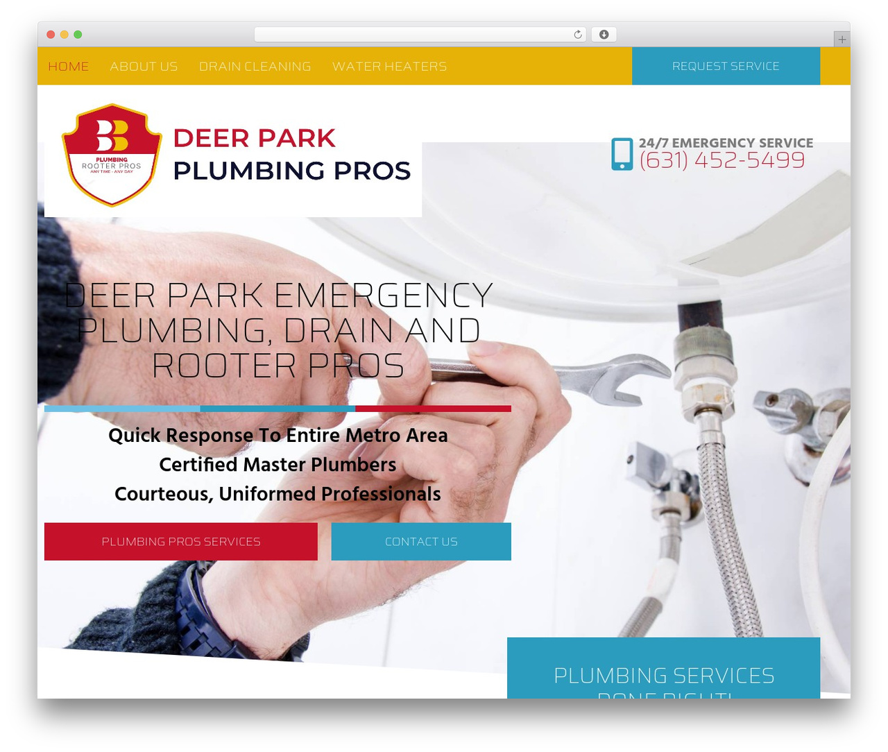 Hello Elementor theme WordPress - deerparkplumbingpros.com