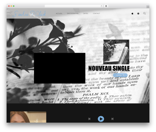 Lucille music core WordPress plugin - sandrapclark.com