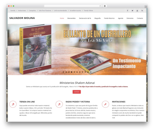 Thinkup panels WordPress plugin - salvadormolina.com