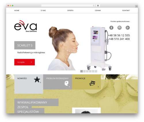 Salon Ewa theme WordPress - salon-eva.pl
