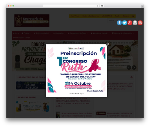 Folder menu vertical WordPress plugin - saludtolima.gov.co