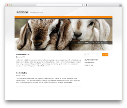 WordPress theme Dream - koziolki.pl