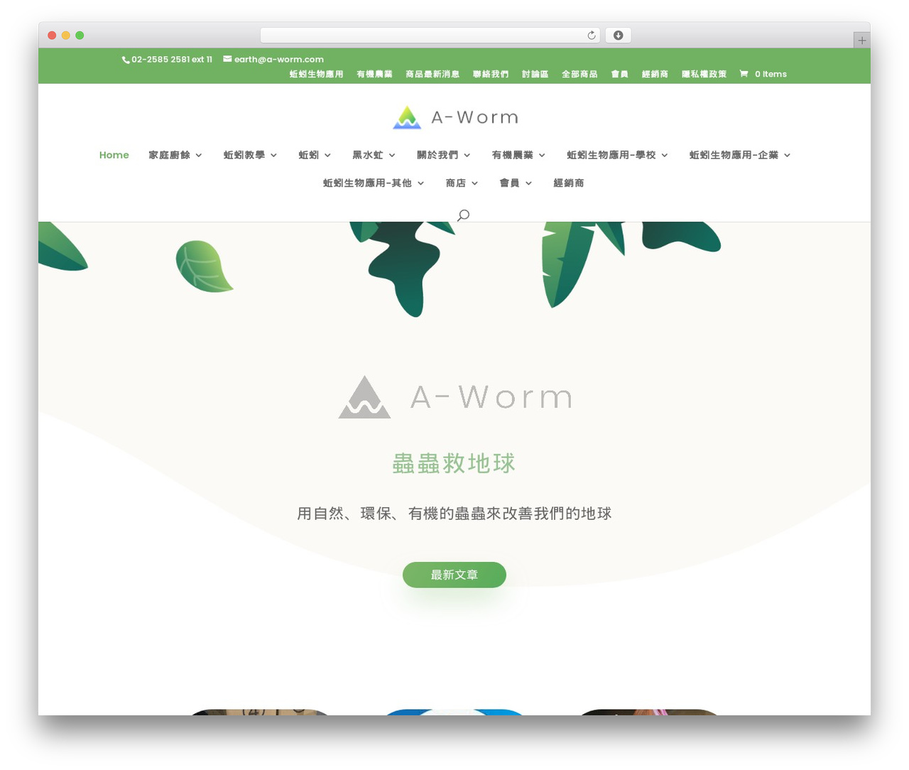 Divi WordPress theme - a-worm.com