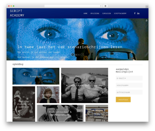 Enfold WP theme - scriptacademy.nl