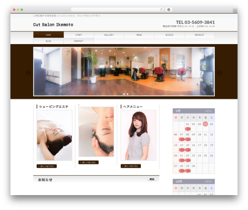 Really simple calendar WordPress plugin - salon-ikemoto.com