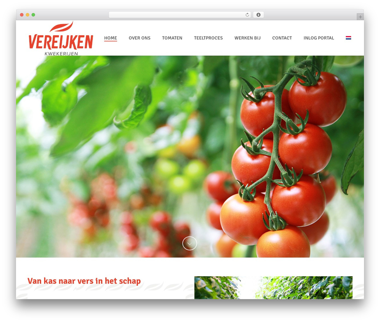 Jupiter theme WordPress - vereijkenkwekerijen.nl