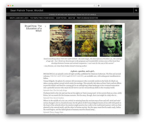 Playne WordPress theme - seanpatricktraver.com