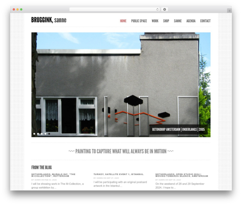 Purity best WordPress theme - sannebruggink.nl