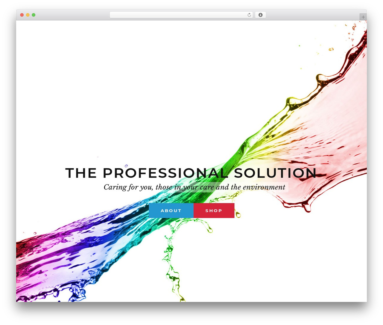 Salient WordPress theme design - safe4all.co.nz