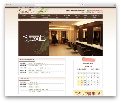 SALOQUE Theme WordPress website theme - saloque.com