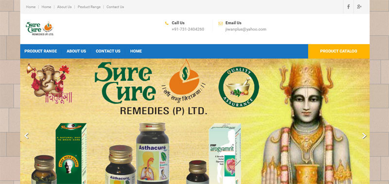 SCR WordPress theme by SCR design
