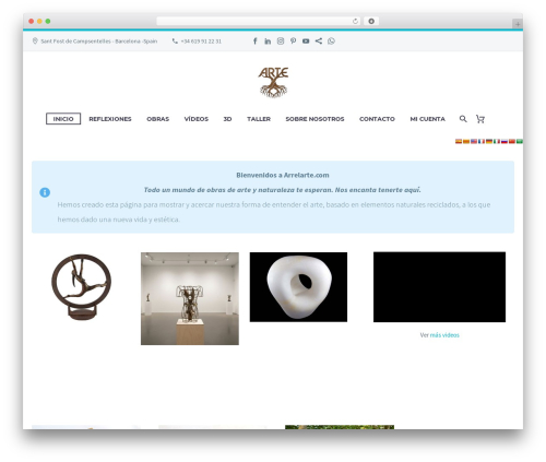 Visitors traffic real time statistics pro WordPress plugin - arrelarte.com