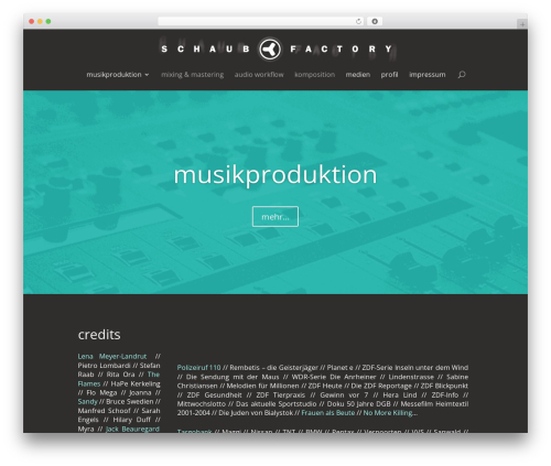 Ap_audio_player WordPress plugin - schaub-factory.de