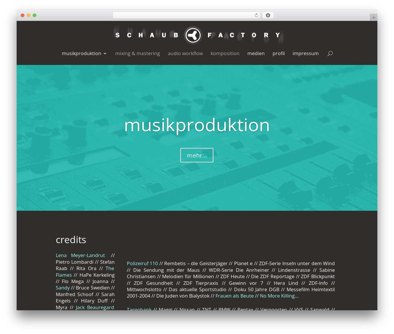 Theme WordPress Divi - schaub-factory.de