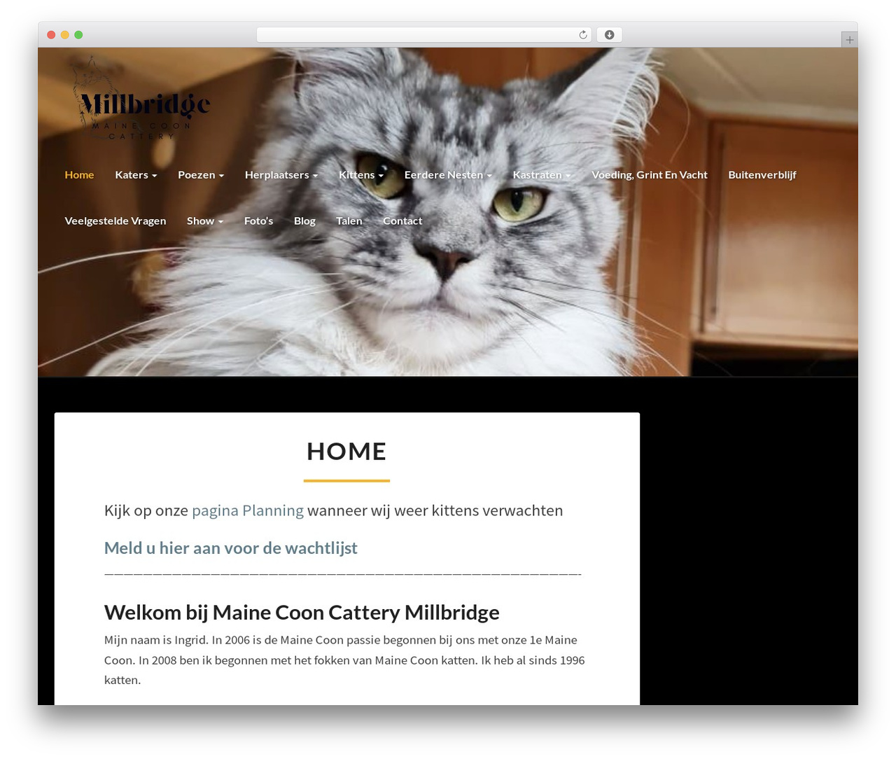 Theme WordPress Lighthouse - mainecooncatterymillbridge.com