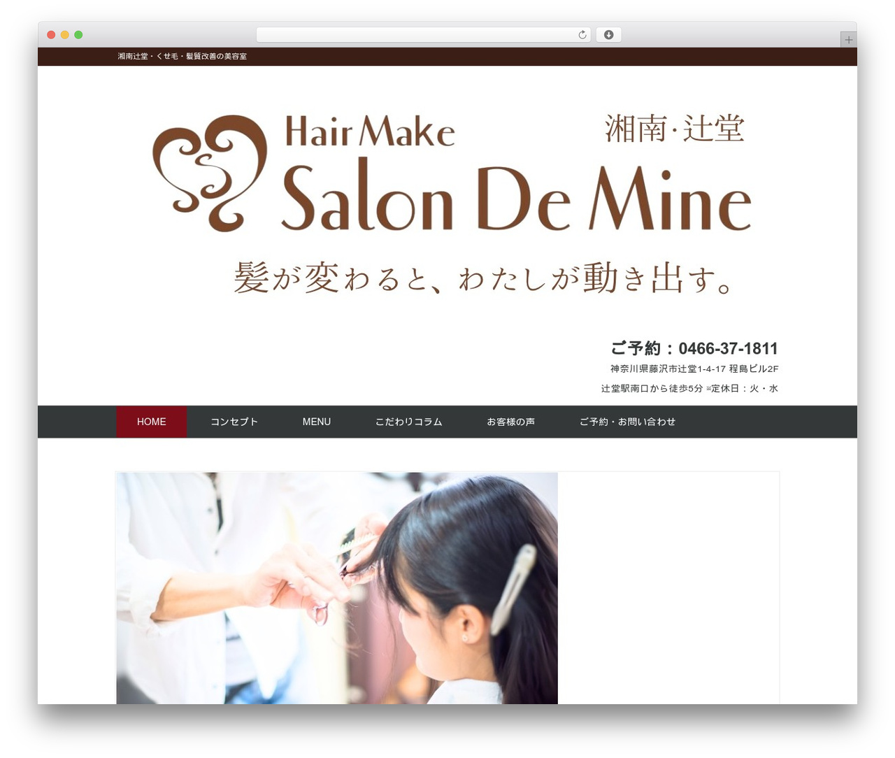 White Studio WordPress theme - salon-de-mine.com