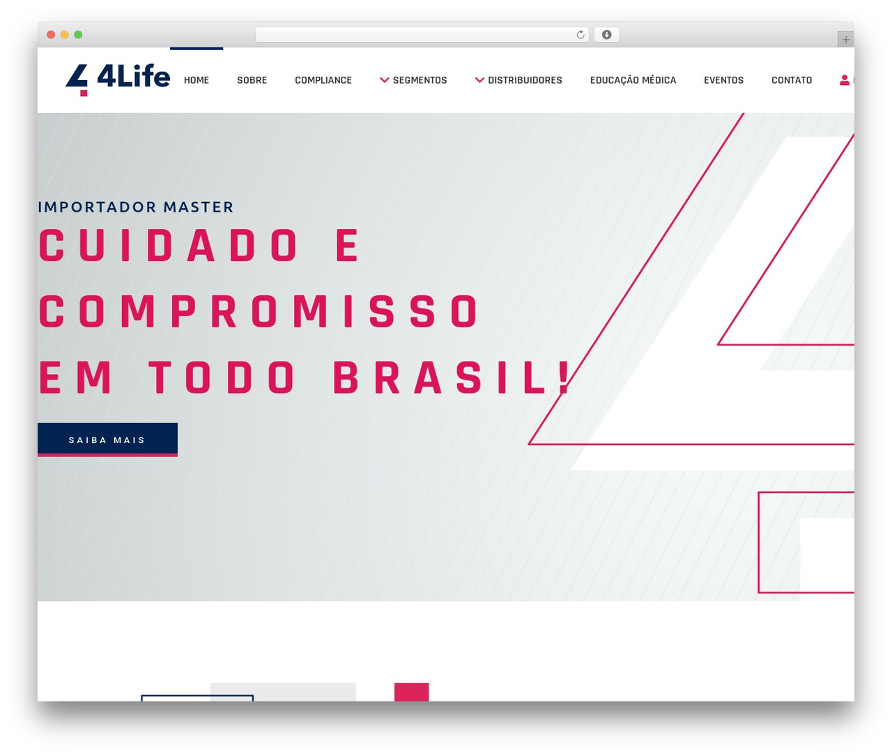 WordPress theme TechLink - 4life.net.br