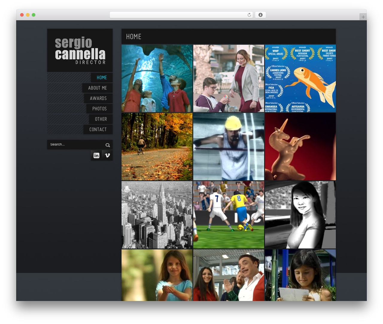 WordPress theme ShowyCase - sergiocannella.com