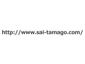 彩たまごWP-Theme NEW 201410 WordPress theme by webya.inc