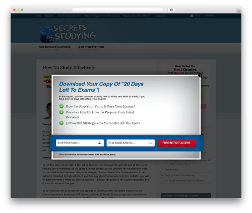 Busy Bee theme WordPress - secretsofstudying.com