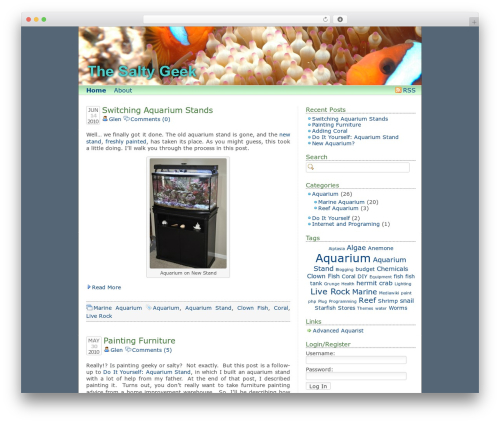 dkret3 WordPress theme design - saltygeek.com