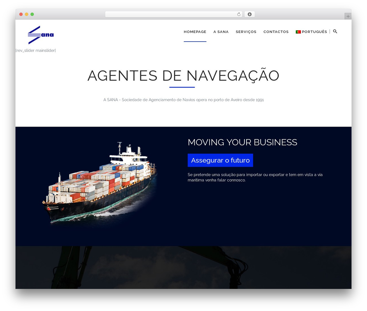 Everybody WP theme - sana-navios.pt/web
