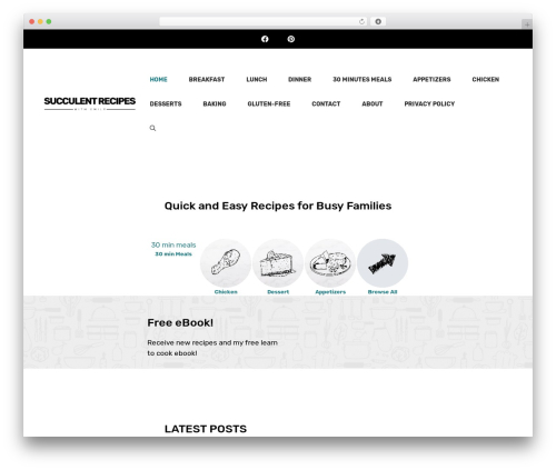 Tasty pins WordPress plugin - succulentrecipes.com