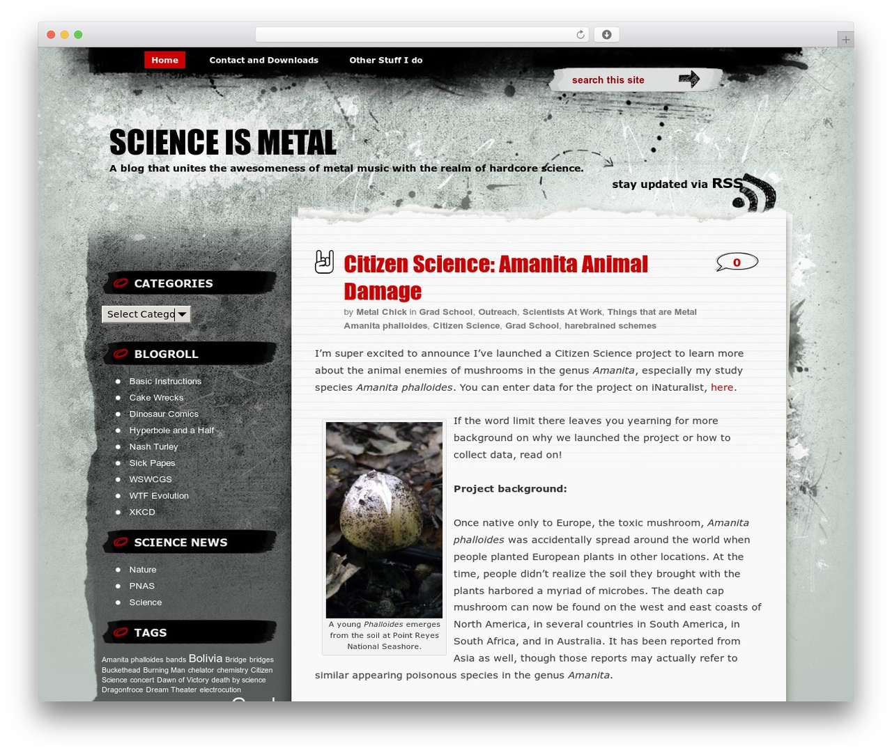 Greyzed best WordPress theme - scienceismetal.com Greyzed best WordPress theme - scienceismetal.com
