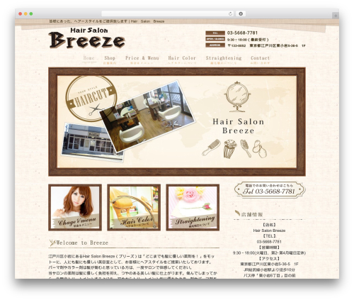 Morph extension system WordPress plugin - salon-breeze.com
