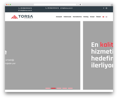 Themex ppro elementor WordPress plugin - torsa.com.tr