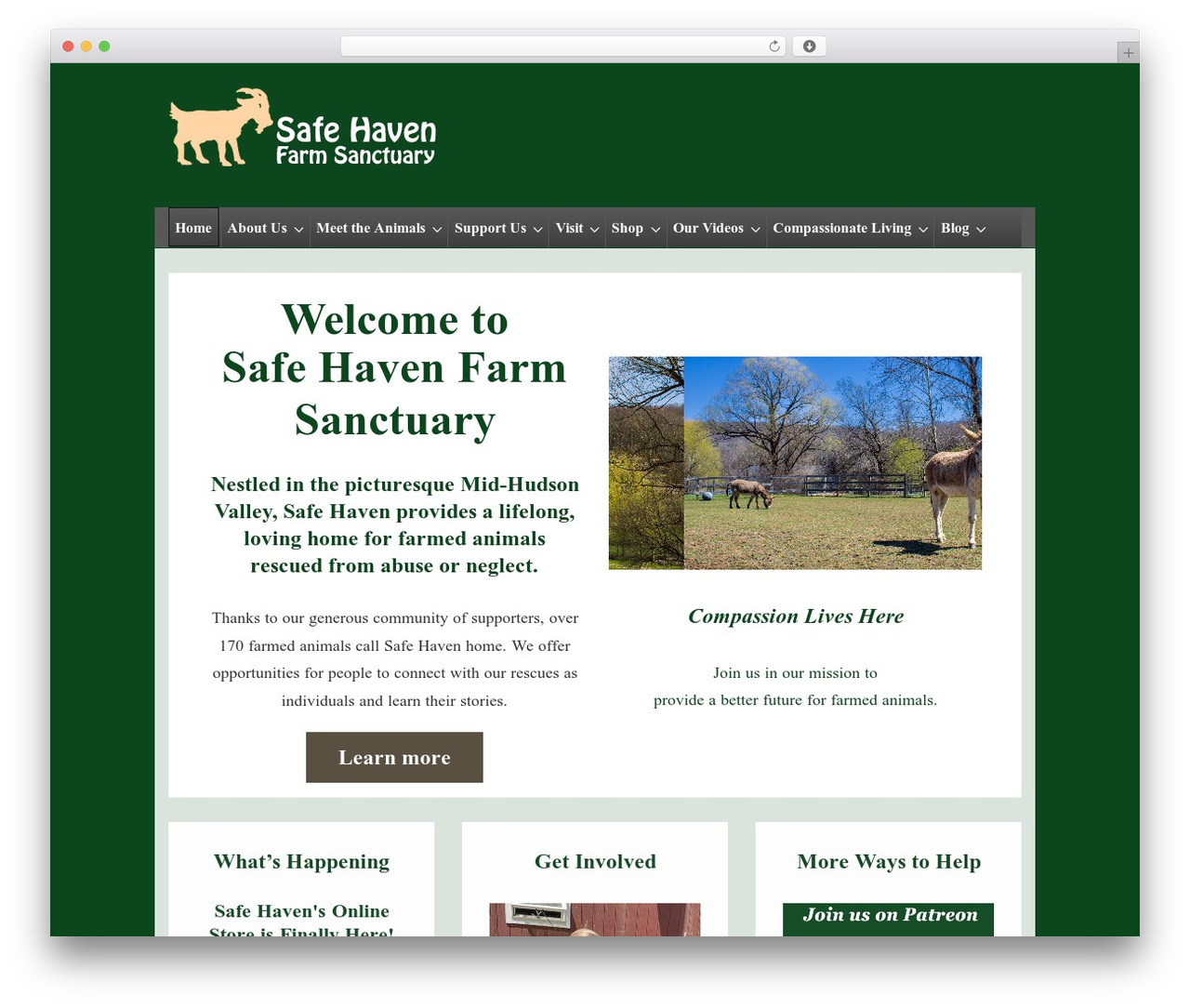 Responsive theme WordPress free - safehavenfarmsanctuary.org Responsive theme WordPress free - safehavenfarmsanctuary.org