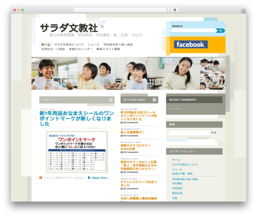 Splendio WP theme - salad1968.com