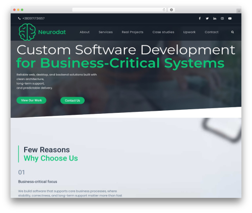Techup WordPress theme - neurodat.com