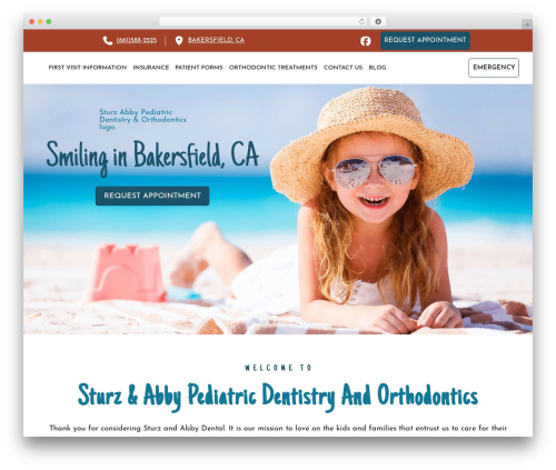 Accessibility fixer WordPress plugin - sturzandabby.com