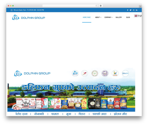 Timetics WordPress plugin - dolphingroupnp.com