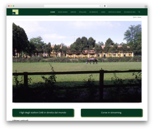 WordPress theme Enfold - sab.it