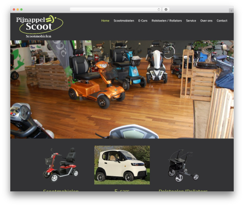 WordPress theme Sieronline WP Basisthema- Child - scoot.nu