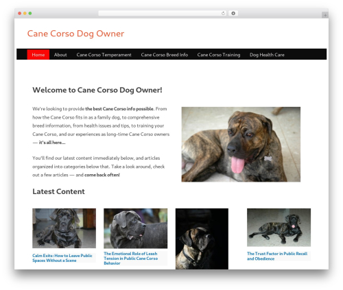 Gutenbergpro premium WordPress plugin - canecorsodogowner.com