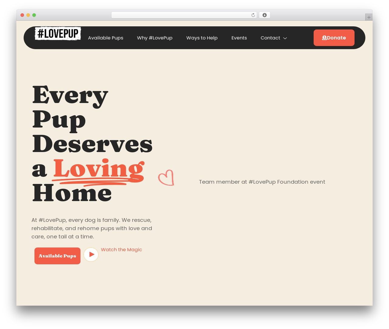 Hello Elementor WordPress theme - lovepupfoundation.org Hello Elementor WordPress theme - lovepupfoundation.org