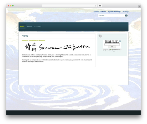 Infuse Wordpress Theme WordPress blog theme - samuraijujutsu.com